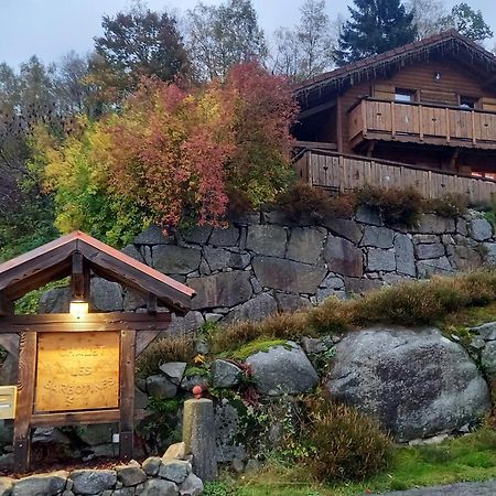 Chalet Typique Vosgien "Les Barbotines" Ventron Exterior foto