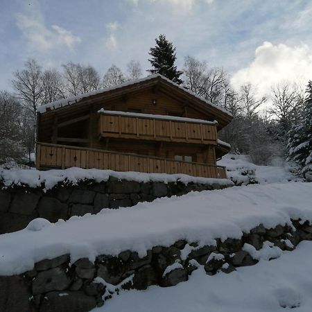 Chalet Typique Vosgien "Les Barbotines" Ventron Exterior foto